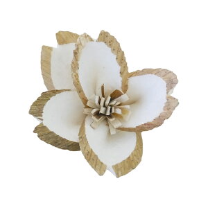 �y������ �����zsolage �\���t�����[ �T�N�� �w�b�h �� 10�֓� �\�[���[�t�����[ �n���h���C�h�t�����[ YF138288�y�\���t�����[ �ԍ� ���z