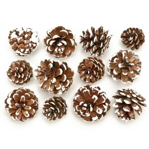 y zA\[g tXg ڂ i`f  J[ DT066049