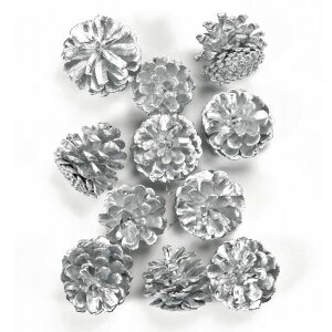 y z  Vo[ ڂ i`f  J[ DT074285