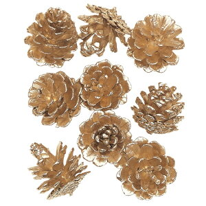 y z  v`iS[h ڂ i`f  J[ DT074335