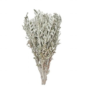 �y������ �����z�����e �_�C�������h �h���C�t�����[ �i�`������ FD003073 �y�h���C�t�����[ �ԍށz