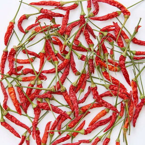 �y������ �����z���̉� �g�E�K���V�~�j�~�j �h���C�t�����[ �i�`������ DN120023 �y�h���C�t�����[ �ԍށz