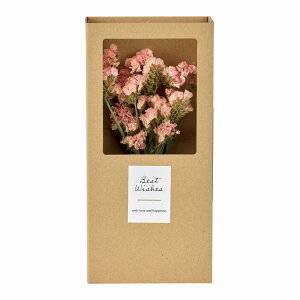 y zhCt[{bNX X^[`X i`IWn 1BOX hCt[ i` Mtg CeA FD082034