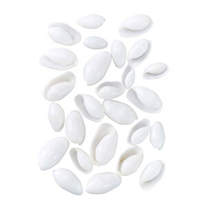 y zouXVF VF L Lk i`f FD005504yi`f hCt[ ԍށz