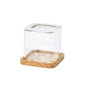 y zSEVA XNGA 9 ֑} ԕr CeAx[X KX GW000530