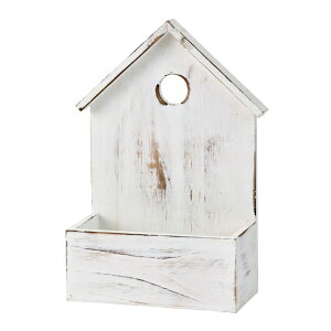 y zo[hnEX zCg Ԋ x[X   i`x[X ؐ i`f ND045734