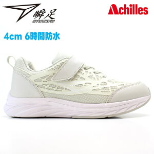 u ̎qu JJ-892 x[Wh V\N WjA LbY q Xj[J[ ʊw ʉ ^ ^C 㗚  wZ qC
