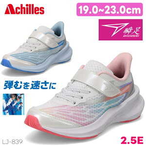 u ̎q Xj[J[ 2.5E V\Nu LJ-839 }` TbNXWING SLIDER V\N WjA LbY q Xj[J[ y ʊw ^ ^C 㗚  wZ qC AVX