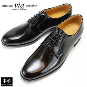 }hX BA J~[m via cammino VC8046 ubNmadras OHv[gD rWlXV[Y Y vC {v amC ʋΌC ₷ 