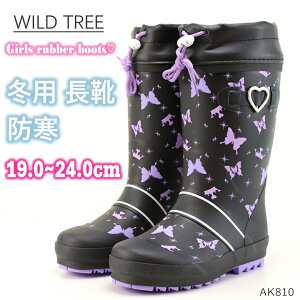 WjA C h Chc[ AK810 ubNWILDTREE q o[u[c ̎q ~pC g Shᓹ NX}X h S ɂ qC 킢 X K[[ ̎q 