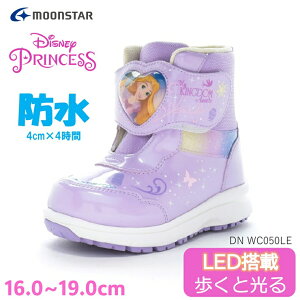 LED ƌ u[c vZX vcF LbY hu[c fBYj[ h DN WC050LE sN[X^[ q u[c ~p y ɂ qC fBYj[v