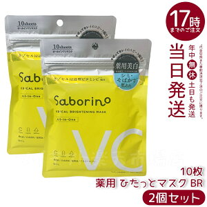 y2ZbgzT{[m p Ђƃ}XN BR 10 glLT_zŃj̐}V~΂h򕔊OĩV[g}XNh~ƕێʂI[C