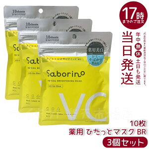 y3ZbgzT{[m p Ђƃ}XN BR 10 glLT_zŃj̐}V~΂h򕔊OĩV[g}XNh~ƕێʂI[C