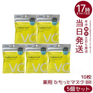 y5ZbgzT{[m p Ђƃ}XN BR 10 glLT_zŃj̐}V~΂h򕔊OĩV[g}XNh~ƕێʂI[C