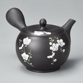 楽天市場 茶こし 袋の通販