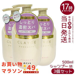 y3ZbgzN[W MVv[ 500ml (CLAYGE)bsNNCR[Qetz XbLێ Ȃ߂炩dオT|[g ~lXp̌