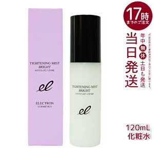 GNg ^CgjO~XguCg 120ml vϐ u[X^[  h ELECTRON TIGHTENING MIST BRIGHT