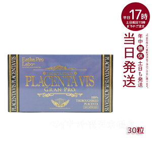 y|XgzGXev{ vZ^BXOv 30 ܖF2027.04 ESthe pro labo