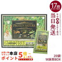 エステプロ・ラボ プロテインナチュラ グランプロ W抹茶 20袋/箱 植物性プロテイン ボディメイク ダイエット 美容 酵…