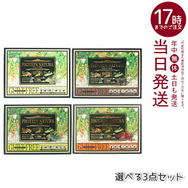【選べる3点セット】エステプロ・ラボ プロテイン ナチュラ グランプロ 20袋入り ココア/抹茶/黒ごまきな粉(ボディメイクサポート エステプロラボ 健康食品 サプリメント ダイエット 美容 酵素 グランプロ シリーズ ココア 抹茶 きな粉)