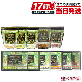選べる2点セット エステプロラボ プロテイン ナチュラ グランプロ 20袋入 ココア 抹茶 黒ごまきな粉 ダークココア コーヒー W抹茶 植物性プロテイン ソイプロテイン 個包装 サロン専売品 国内正規品 日本製