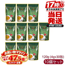 エステプロラボ Esthe Pro Labo G-デトック ハーブティー プロ 30袋入 アルミ袋 120g(4g×30袋) 10個セット ティーバッグ 食物繊維 サロン専売品 国内正規品 日本製 健康茶
