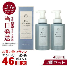 【2個セット】エバメール ウォーターマイクロフォームシャンプー 450mL EVER MERE