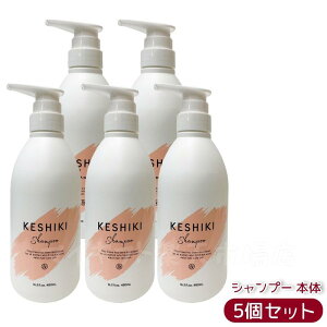 KESHIKI PVL Vv[ { 480mL /lߑւ 420ml [  e Tꔄi e@ wAPA q[gPA _[WC ێ _[WPA