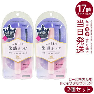 �y2�Z�b�g�z������ �L���O�_�� �����J�[���}�X�J�� �g�D�C���N���u���b�N 6g �������� ����߂��u���b�N ������J�[�� ������ �������K�i ��������