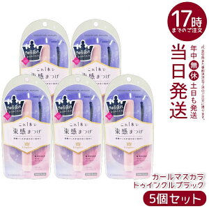 �y5�Z�b�g�z������ �L���O�_�� �����J�[���}�X�J�� �g�D�C���N���u���b�N 6g �������� ����߂��u���b�N ������J�[�� ������ �������K�i ��������