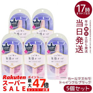 y5Zbgz LO_ J[}XJ gDCNubN 6g  ߂ubN J[  Ki 