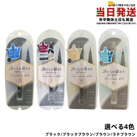 キングダム リキッドアイライナーTP 選べる4色 ブラック/ブラックブラウン/ブラウン/ラテブラウン 0.5ml 極細筆 黒龍堂 国内正規品 送料無料