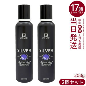 �y2�Z�b�g �z���� �V���o�[�J���[�t�H�[�� �R���f�B�V���i�[ 200g KYOGOKU �F�f�z���R���f�B�V���i�[ �_���[�W�P�A ���� ���{�� �������K�i ��������
