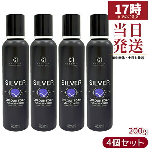 �y4�Z�b�g �z���� �V���o�[�J���[�t�H�[�� �R���f�B�V���i�[ 200g KYOGOKU �F�f�z���R���f�B�V���i�[ �_���[�W�P�A ���� ���{�� �������K�i ��������