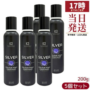 �y5�Z�b�g �z���� �V���o�[�J���[�t�H�[�� �R���f�B�V���i�[ 200g KYOGOKU �F�f�z���R���f�B�V���i�[ �_���[�W�P�A ���� ���{�� �������K�i ��������