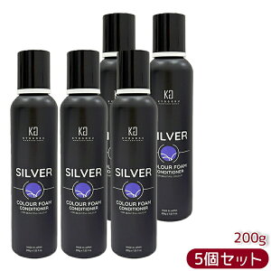 ���� �V���o�[�J���[�t�H�[�� �R���f�B�V���i�[ 200g KYOGOKU �F�f�z���R���f�B�V���i�[ �_���[�W�P�A ���� ���{�� �������K�i ��������