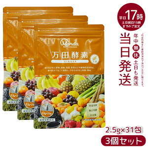 y3Zbgzcyf y[Xg^Cv GINGER WW[  77.5g (2.5g×31) ܖ2027N5 RyHi yfTv yyf