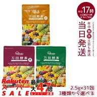 【種類選べる】万田酵素 ペーストタイプ GINGER ジンジャー スタンダード マルベリー 分包 77.5g (2.5g×…