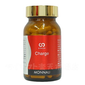i B8 Charge `[W 120 MONNALI Ki  e NT|[g 30 40 50 XLPA v[g Mtg
