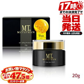 MTメタトロン ステムアイクリーム 20g アイクリーム 目元 目もと まぶた 目尻 アイケア ステムケアシリーズ ステムケア 日本製 サロン専売品 DMAE ヒアルロン酸 ハリ 目元用クリーム METATRON メタトロン化粧品 MTコスメティックス