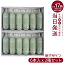 【2箱セット12本入り】MTG プロージョン 炭酸ミストユニット 専用ガス カートリッジ 6本セット グリーン PLOSION PR-GC6 リニューアル