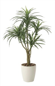 観葉植物 ユッカ 光触媒の人気商品 通販 価格比較 価格 Com 観葉植物 ユッカ 光触媒の人気商品 通販 価格比較 価格 Com
