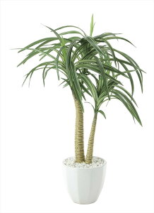 観葉植物 ユッカ ギフトの人気商品 通販 価格比較 価格 Com