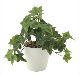 楽天市場 和風 種類 植物 アイビー 観葉植物 花 観葉植物 花 ガーデン Diyの通販