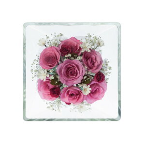 ドライフラワー プレゼントの人気商品 通販 価格比較 価格 Com