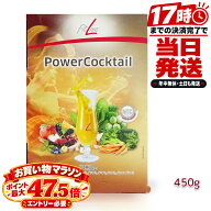 FitLine フィットライン パワーカクテル 450g(15g×30包) 粉末 マルチビタミン ビタミンB群 ビオチン 葉…