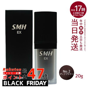 A X[p[~IwA[EX 20g No.2_[NuE jp щB B p     