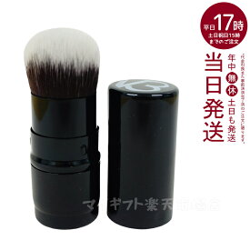 V3セットアップパウダーブラシ（スムース シャイニー フェイス パウダ クリーム 紫外線対策 ボディ用日焼け止め 日焼け止め 日焼け対策 紫外線 UVケア SPF 50 UVカット 保湿 国内正規品）