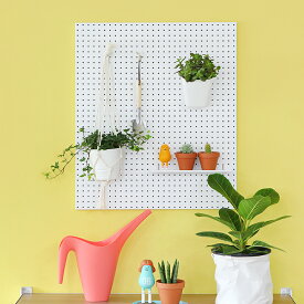 楽天市場 有孔ボード マグネットの通販