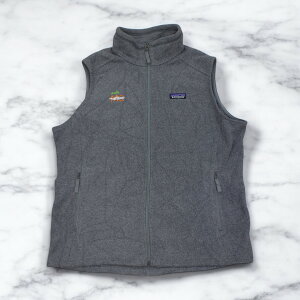 Ò p^SjA Patagonia Synchilla Fleece Vest Grey V` t[X xXg yVintagez